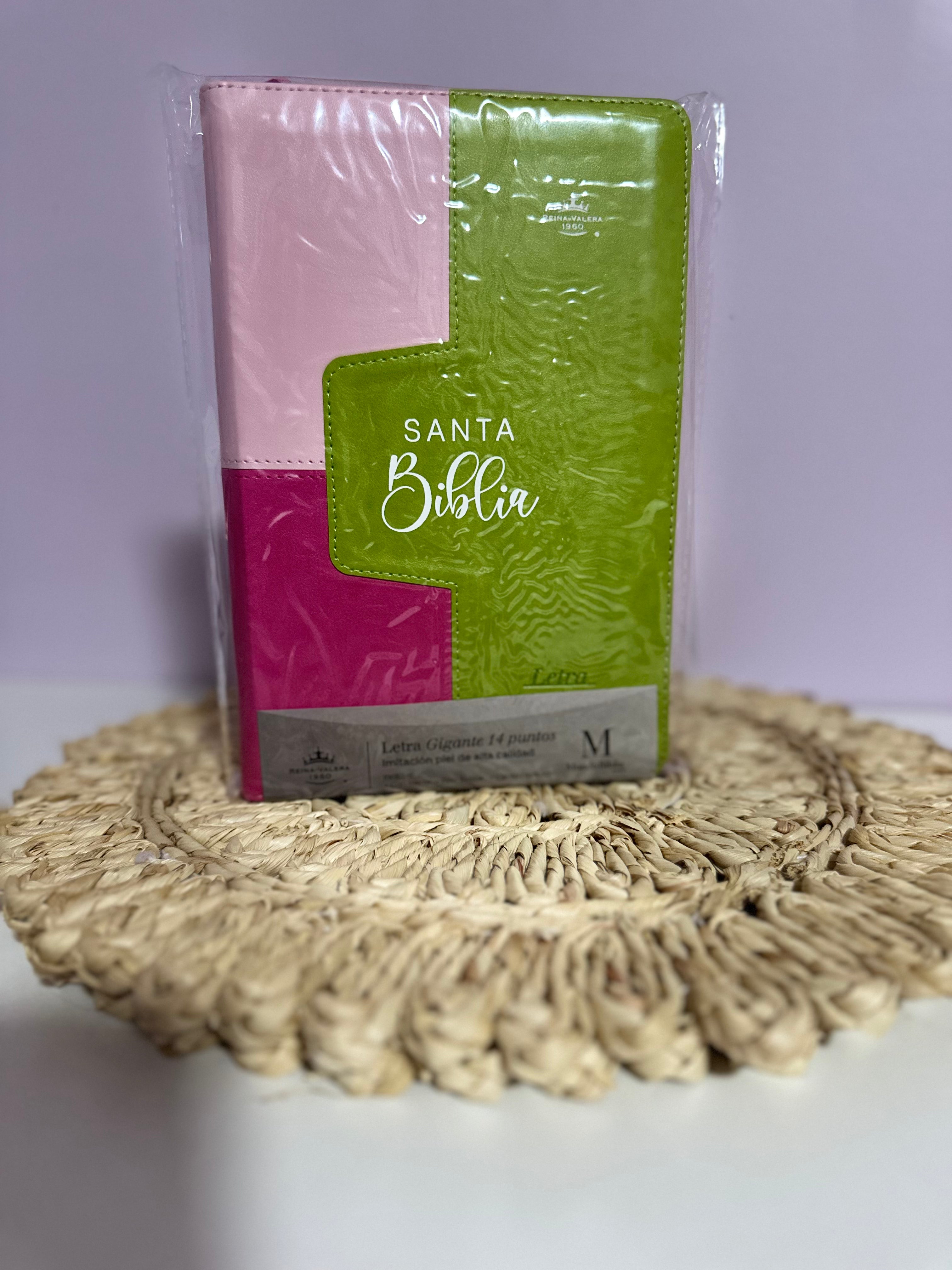BIBLIA REINA VALERA 1960 PARA MUJER